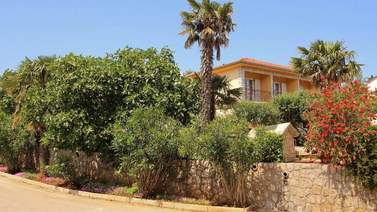 Photo of Outdoor in Cizici