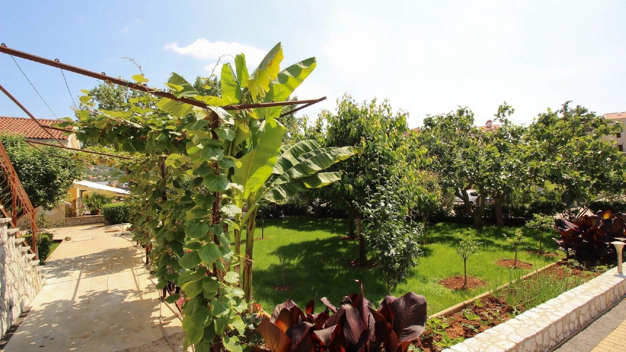 Photo of Outdoor in Cizici