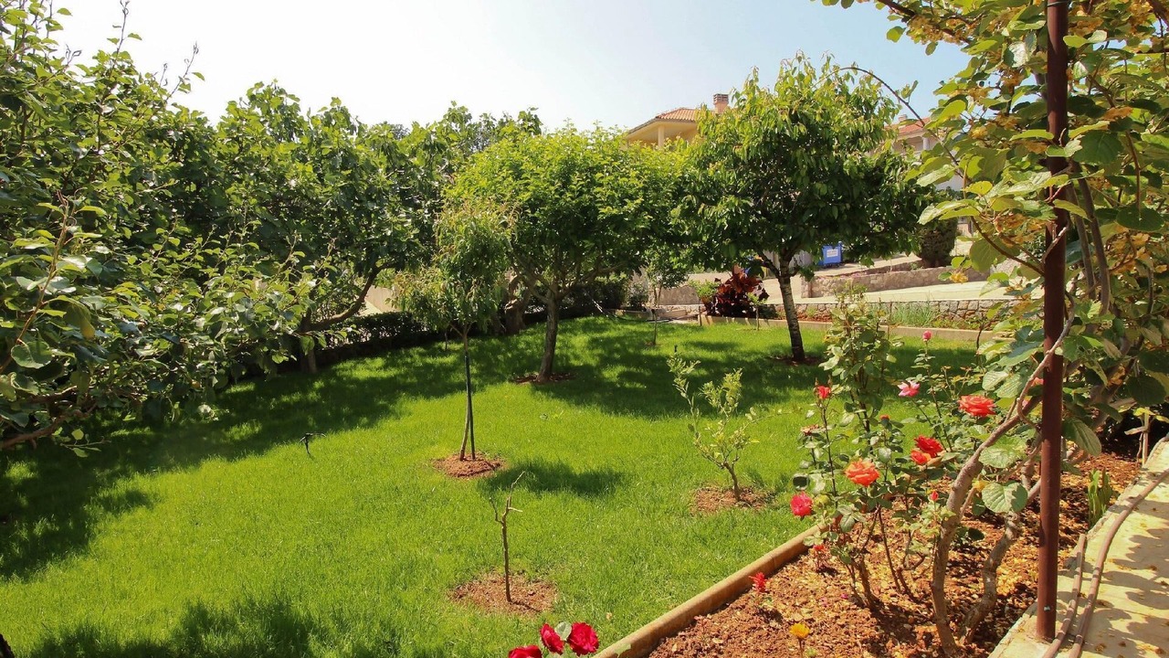 Photo of Outdoor in Cizici