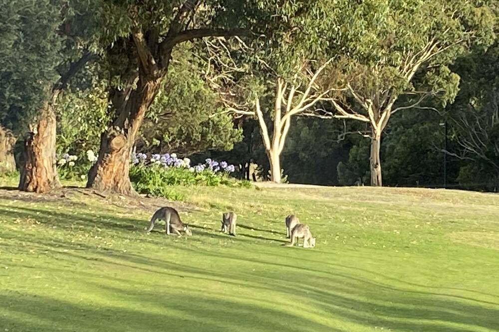 Photo of Others in Kilmore