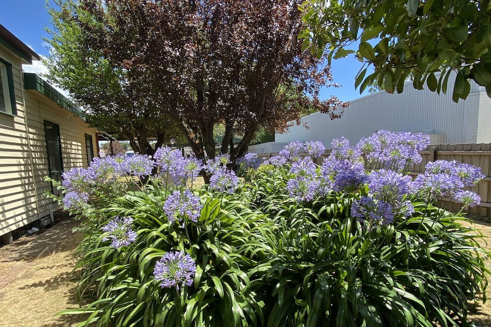 Photo of Outdoor in Kilmore