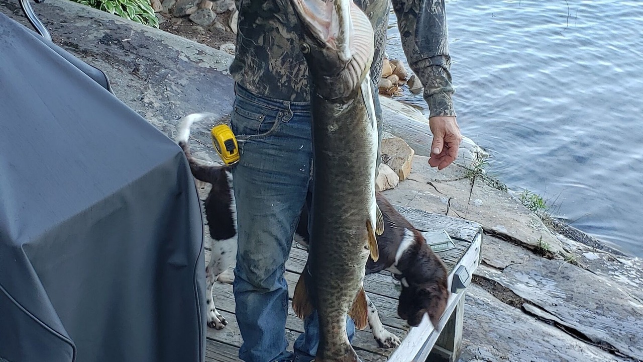 Photo of Outdoor in Blind River