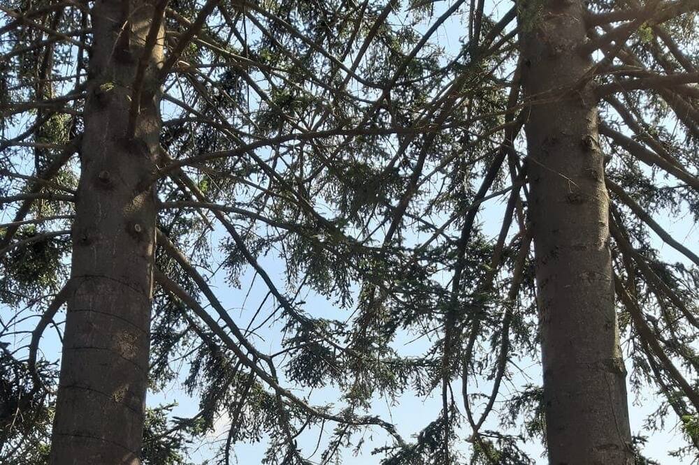 Photo of Outdoor in Arbucies