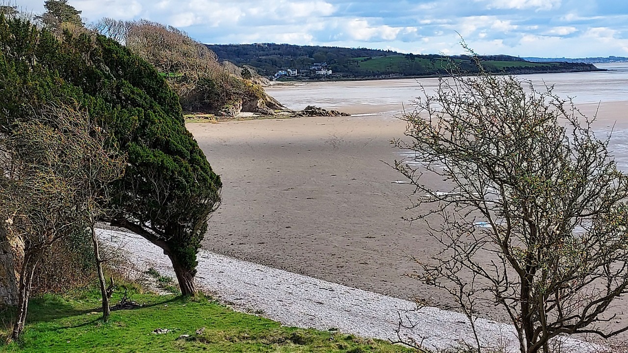 Photo of Others in Bare