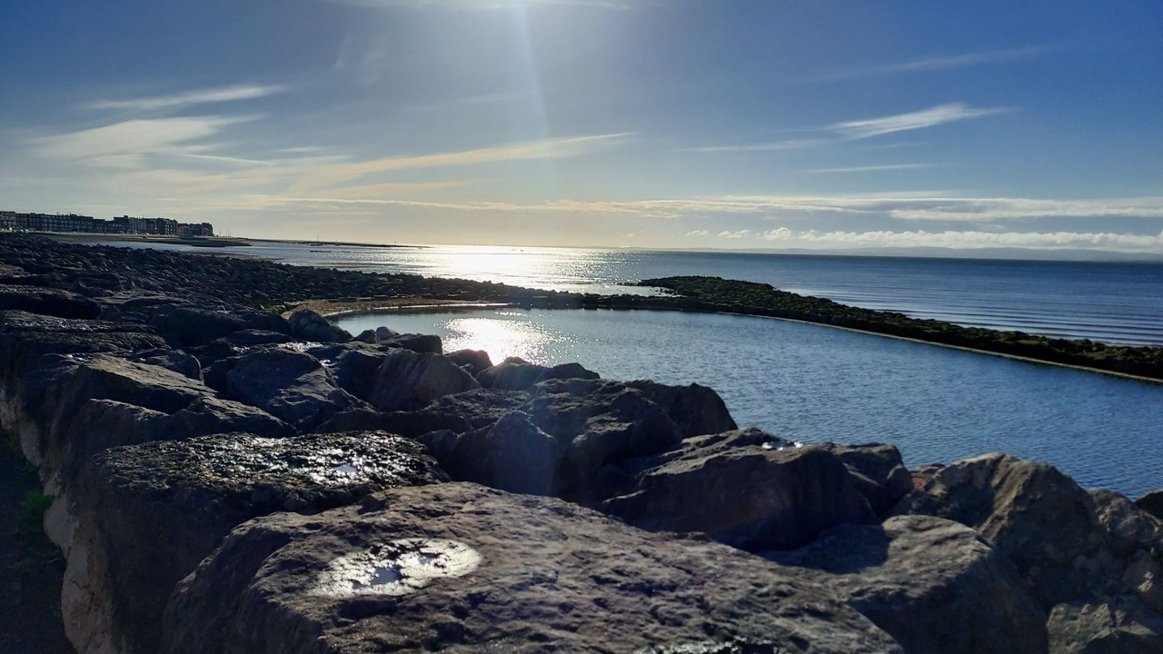 Photo of Others in Bare