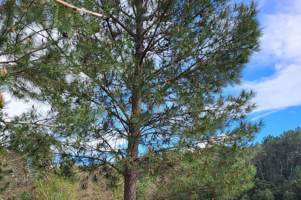 Photo of Outdoor in Vagnas