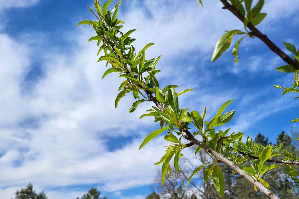 Photo of Outdoor in Vagnas