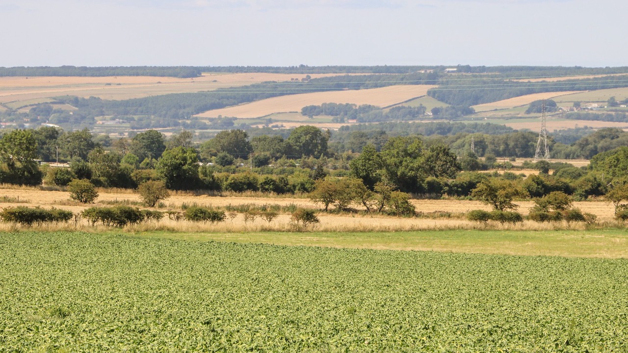 Photo of Others in West Heslerton