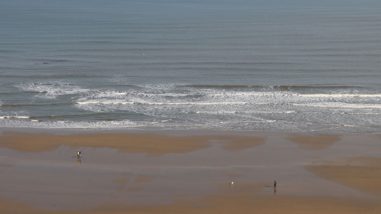 Photo of Others in West Heslerton