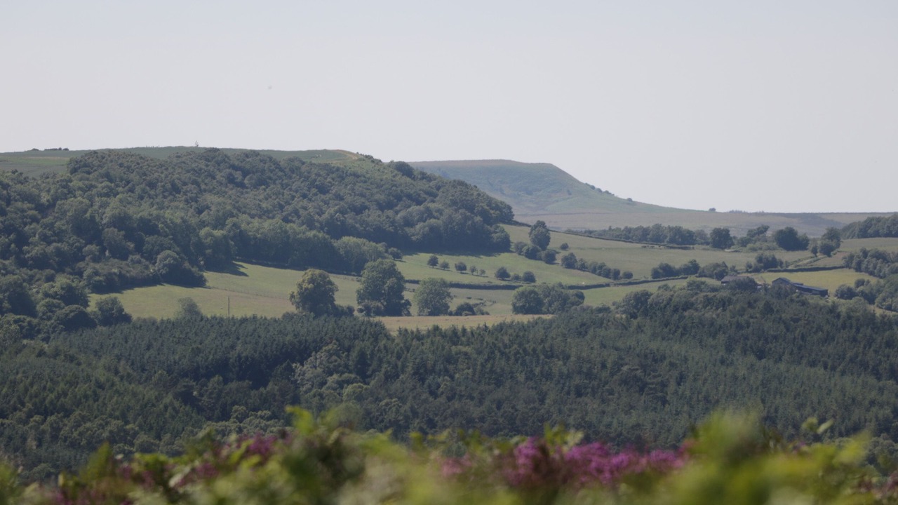 Photo of Others in West Heslerton
