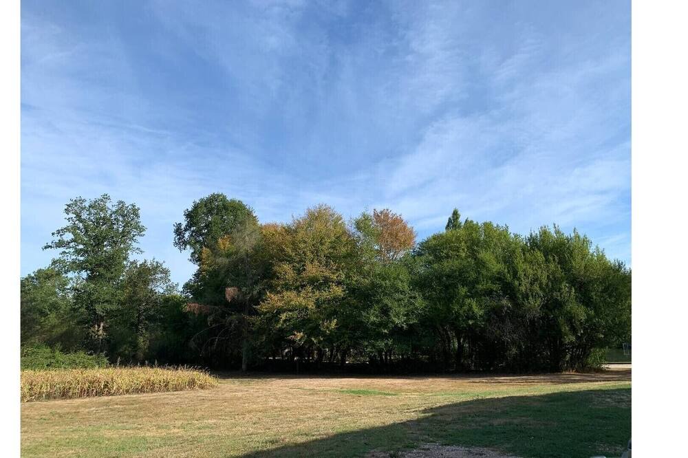 Photo of Others in Souvigny-en-Sologne