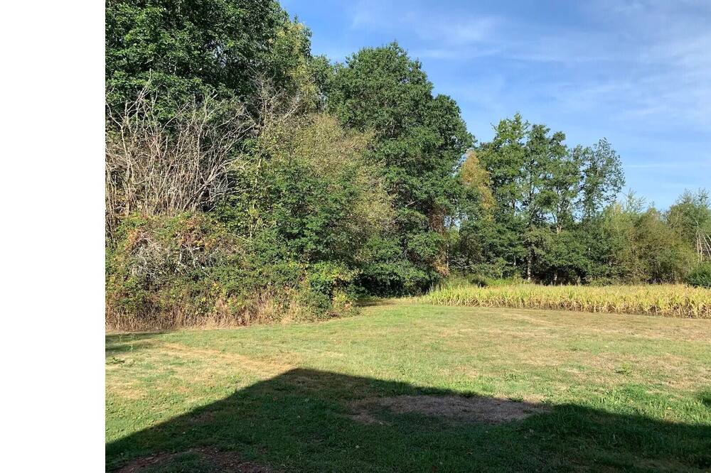 Photo of Outdoor in Souvigny-en-Sologne