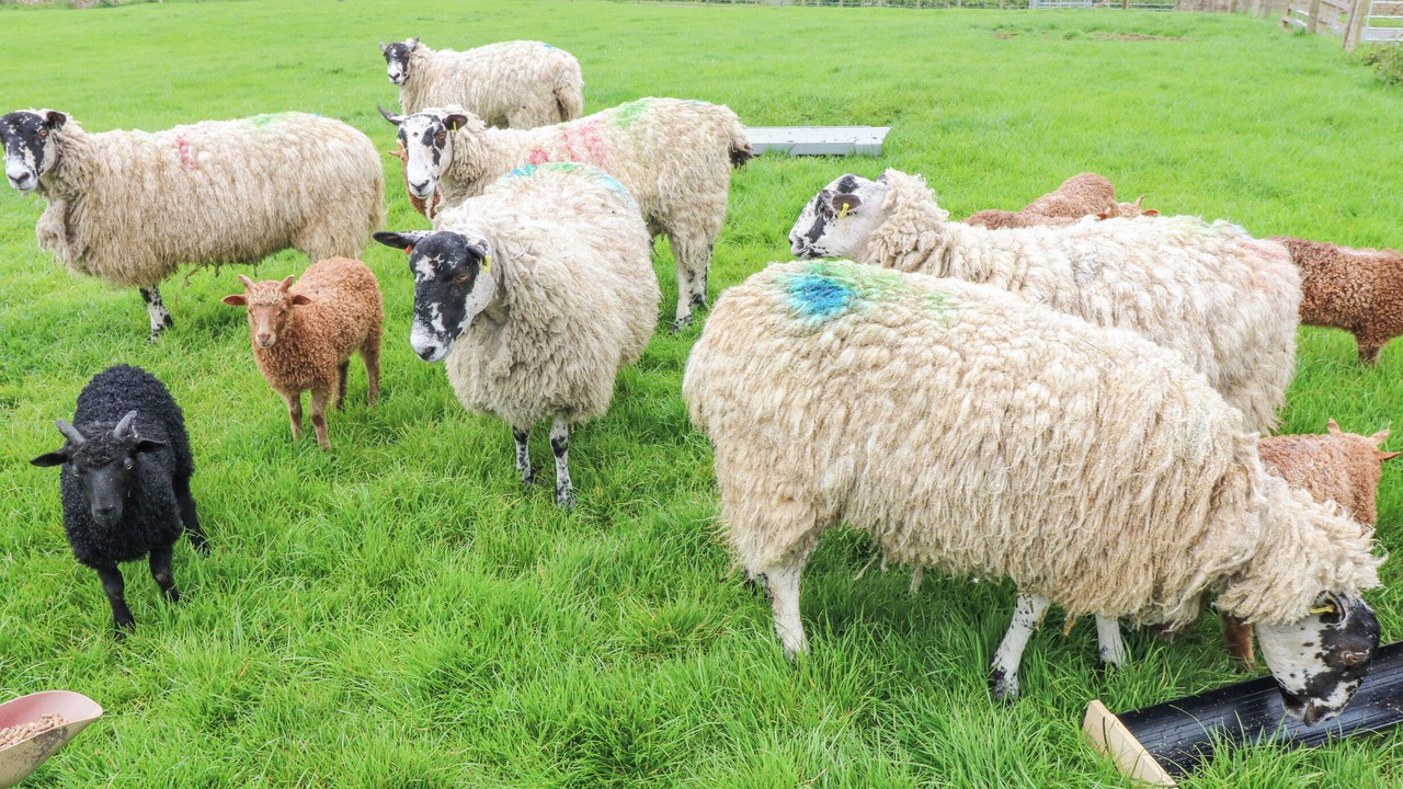 Photo of Others in North Bitchburn