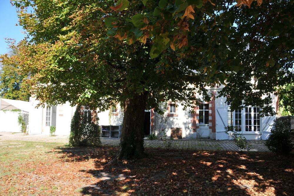 Photo of Outdoor in Brain-sur-Allonnes