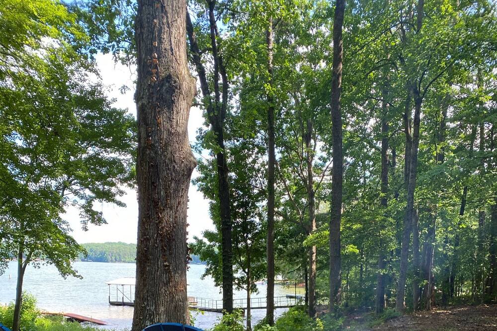 Photo of Outdoor in Martin