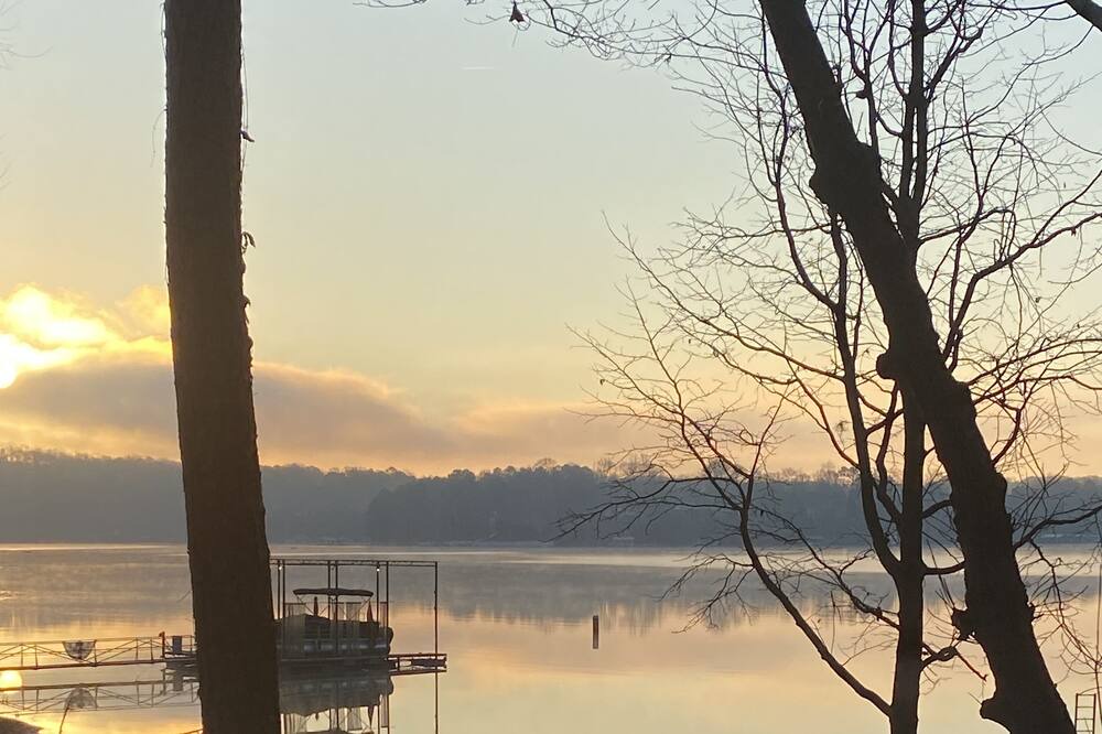 Photo of Others in Martin