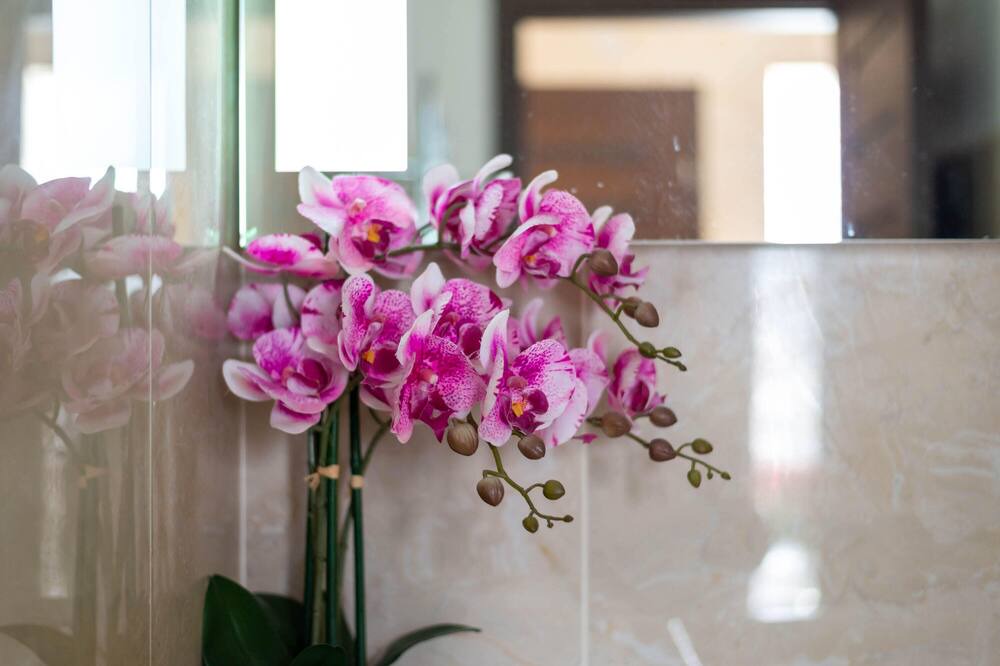 Photo of Others in Hanger Hill