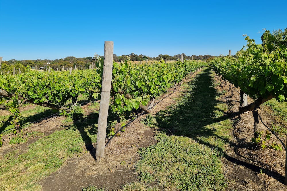 Photo of Outdoor in Clunes