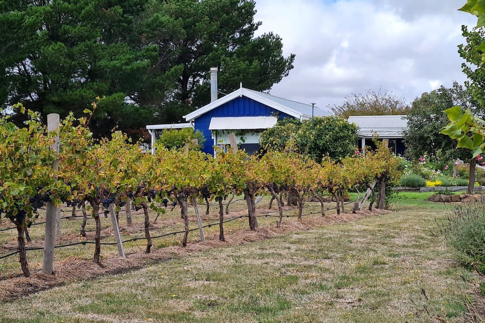 Photo of Outdoor in Clunes