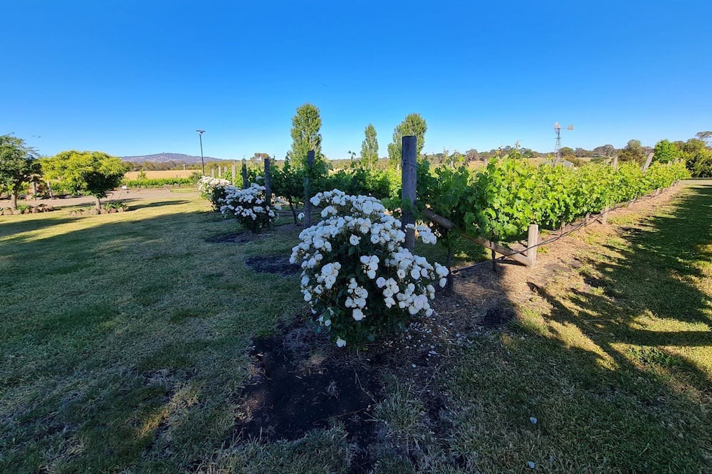 Photo of Outdoor in Clunes