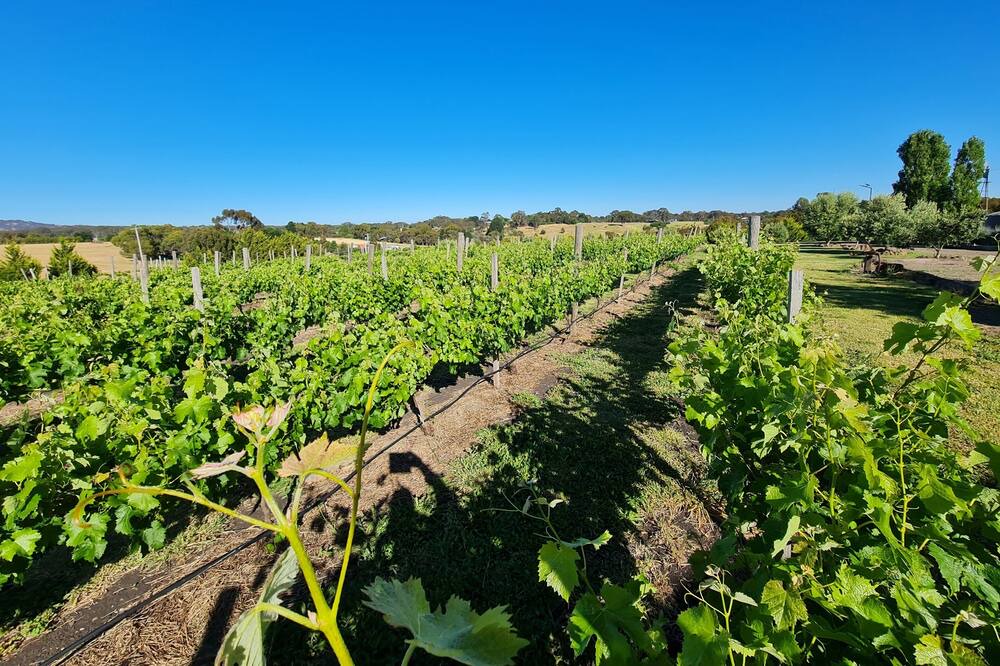 Photo of Outdoor in Clunes