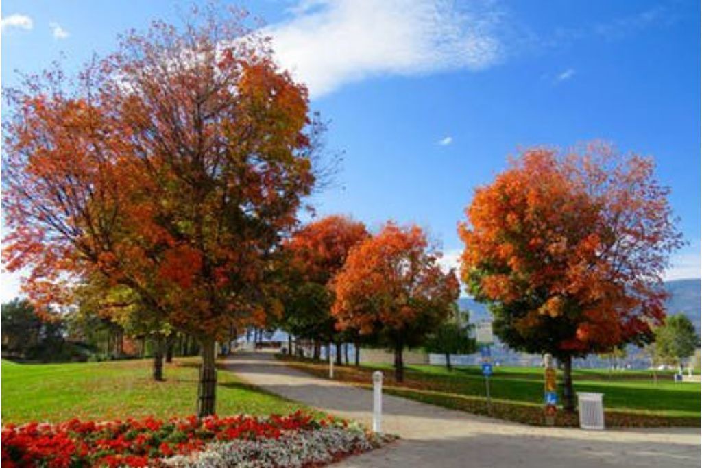 Photo of Outdoor in Town of Copake