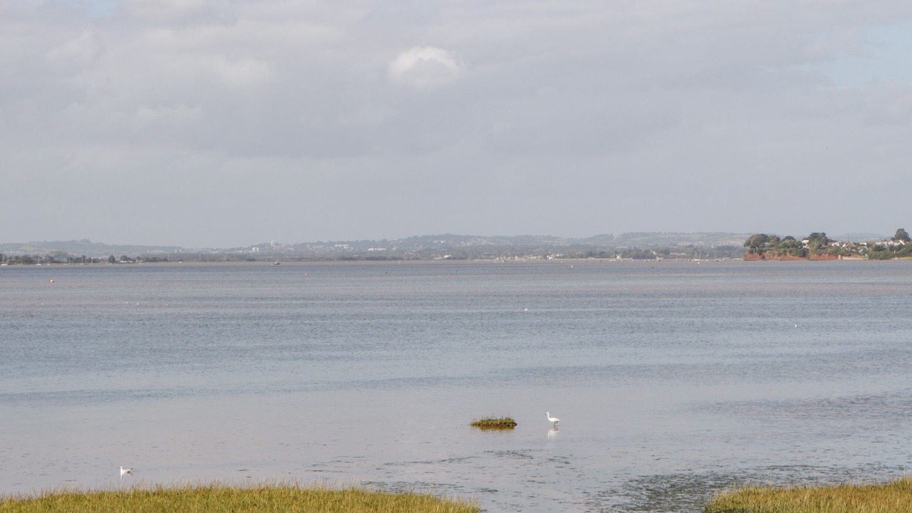 Photo of Others in Exmouth