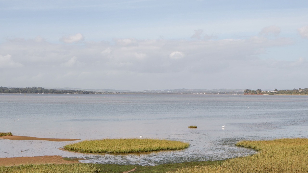 Photo of Others in Exmouth