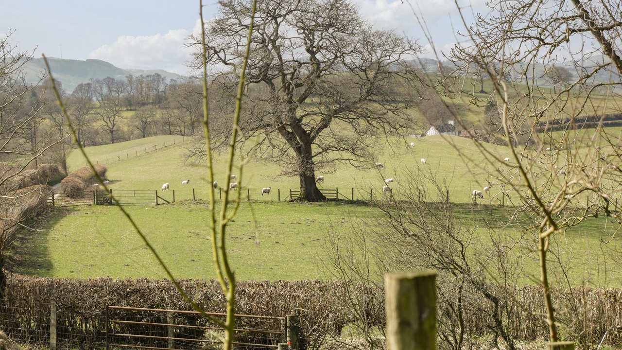 Photo of Outdoor in Corwen