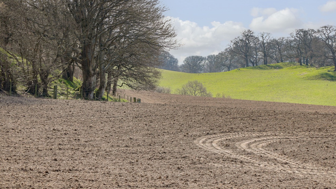 Photo of Others in Corwen