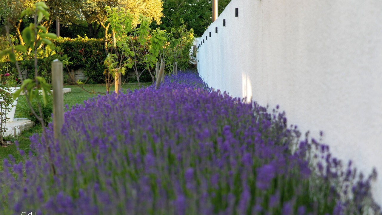 Photo of Outdoor in Bagard