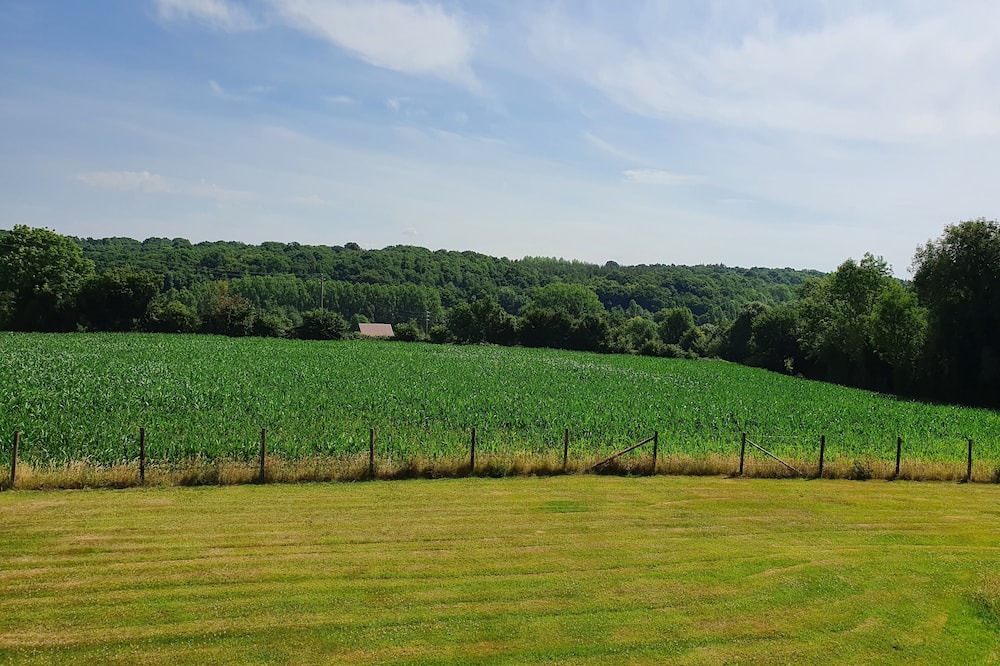 Photo of Others in Fontaine-la-Louvet