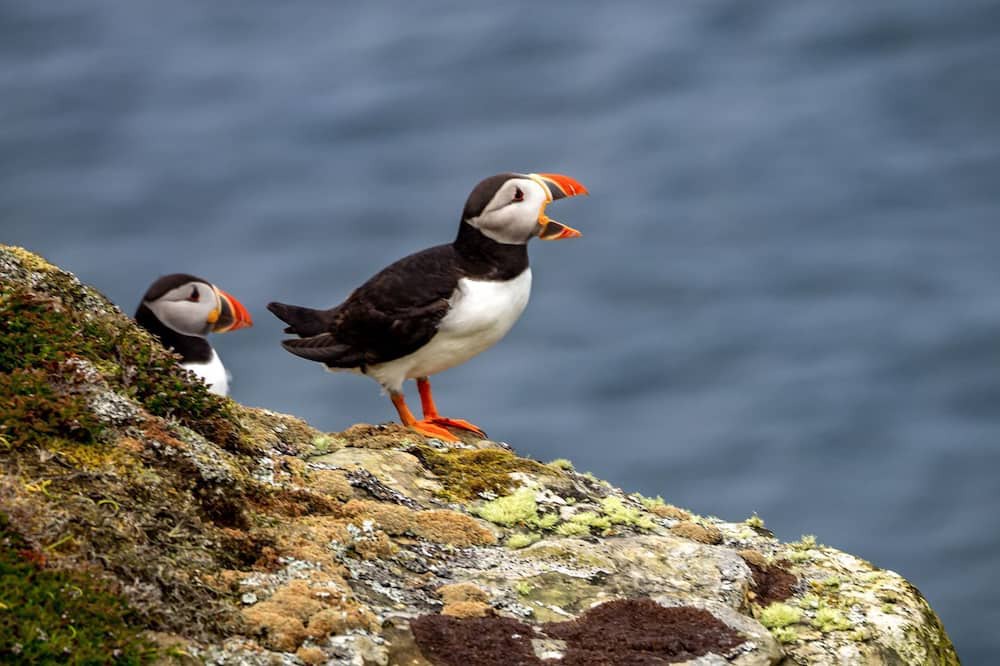 Photo of Others in Hunspow