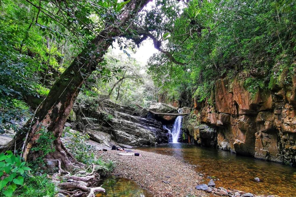 Photo of Others in Kamerunga