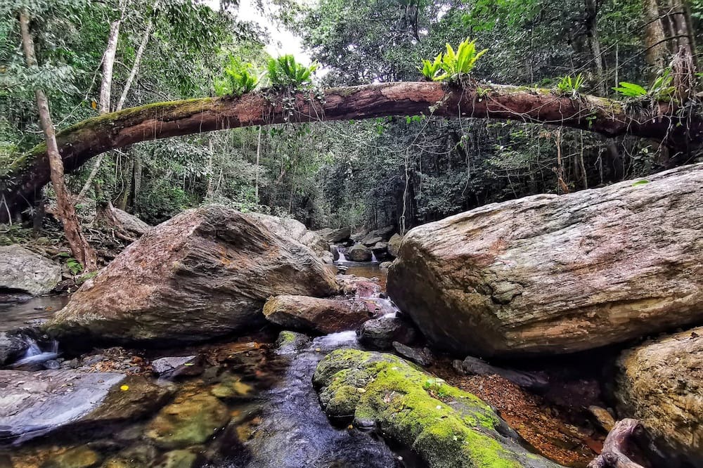 Photo of Others in Kamerunga