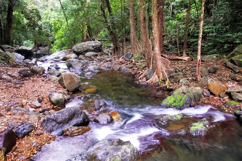 Photo of Others in Kamerunga