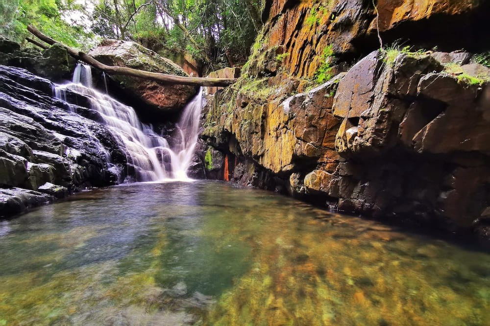 Photo of Others in Kamerunga