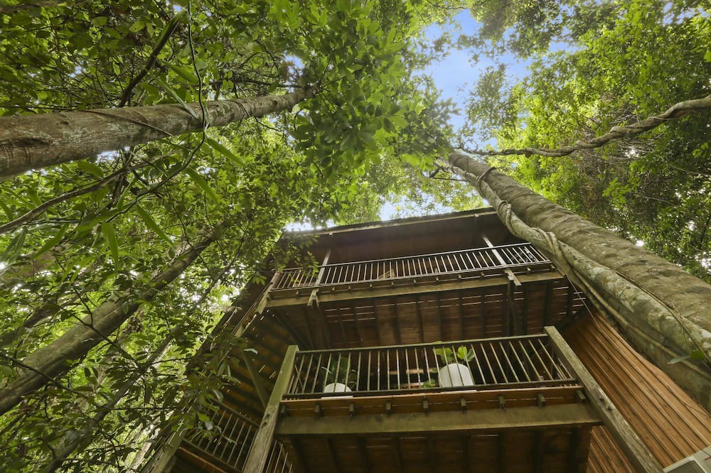 Photo of Others in Kamerunga