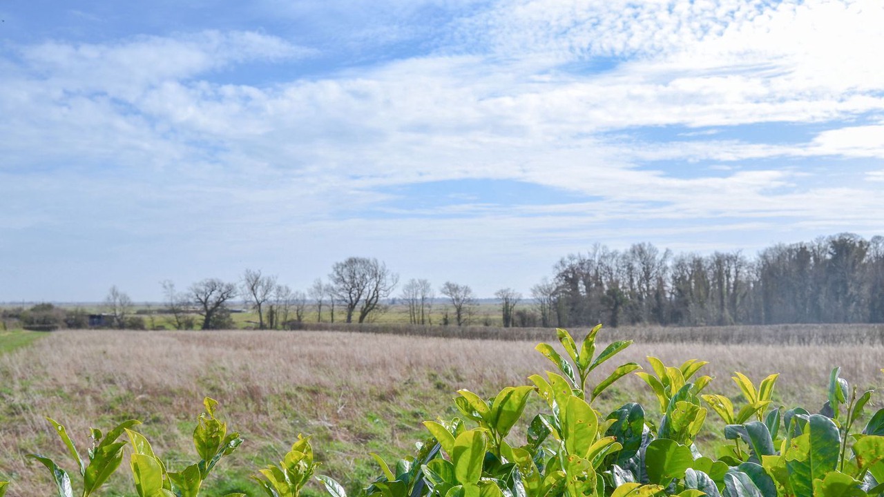 Photo of Outdoor in Halvergate