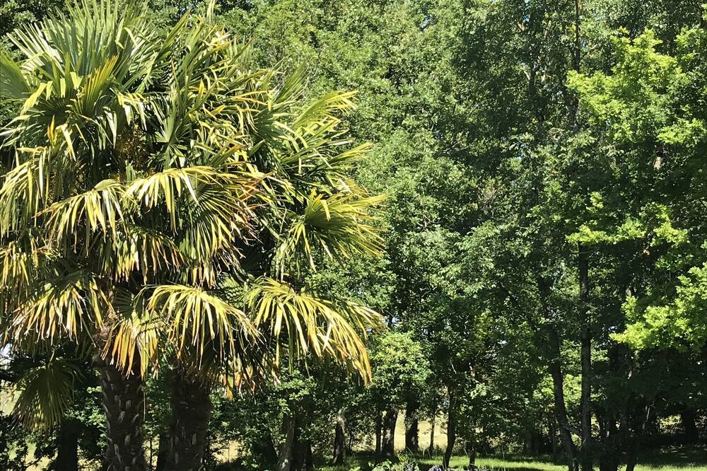 Photo of Outdoor in Sainte-Croix