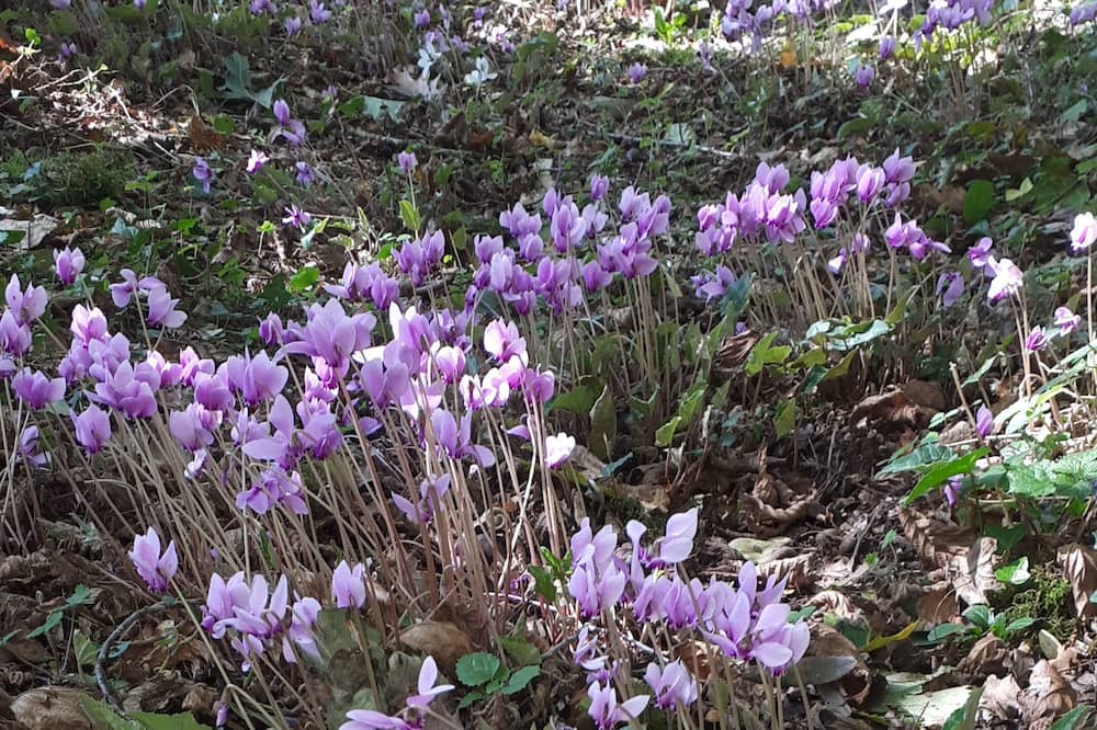 Photo of Outdoor in Etaules