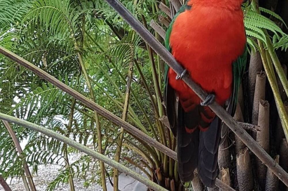 Photo of Outdoor in Eildon