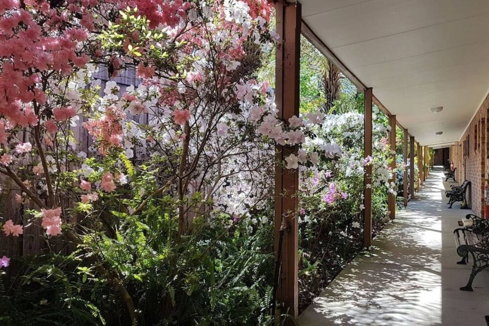 Photo of Outdoor in Eildon