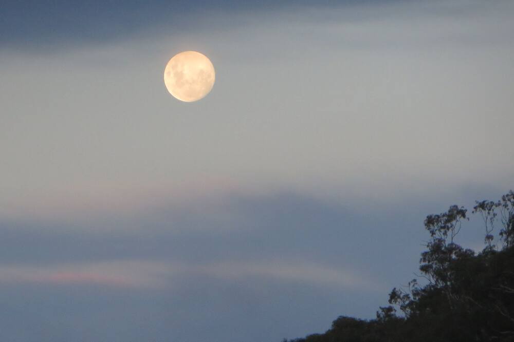 Photo of Others in Eildon