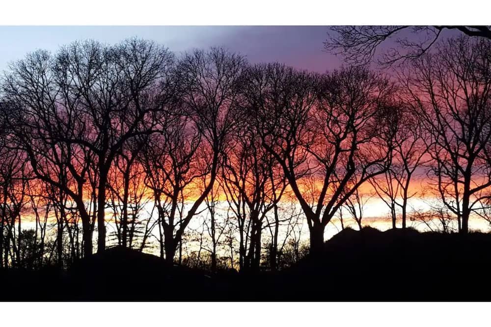 Photo of Others in Gordon Heights