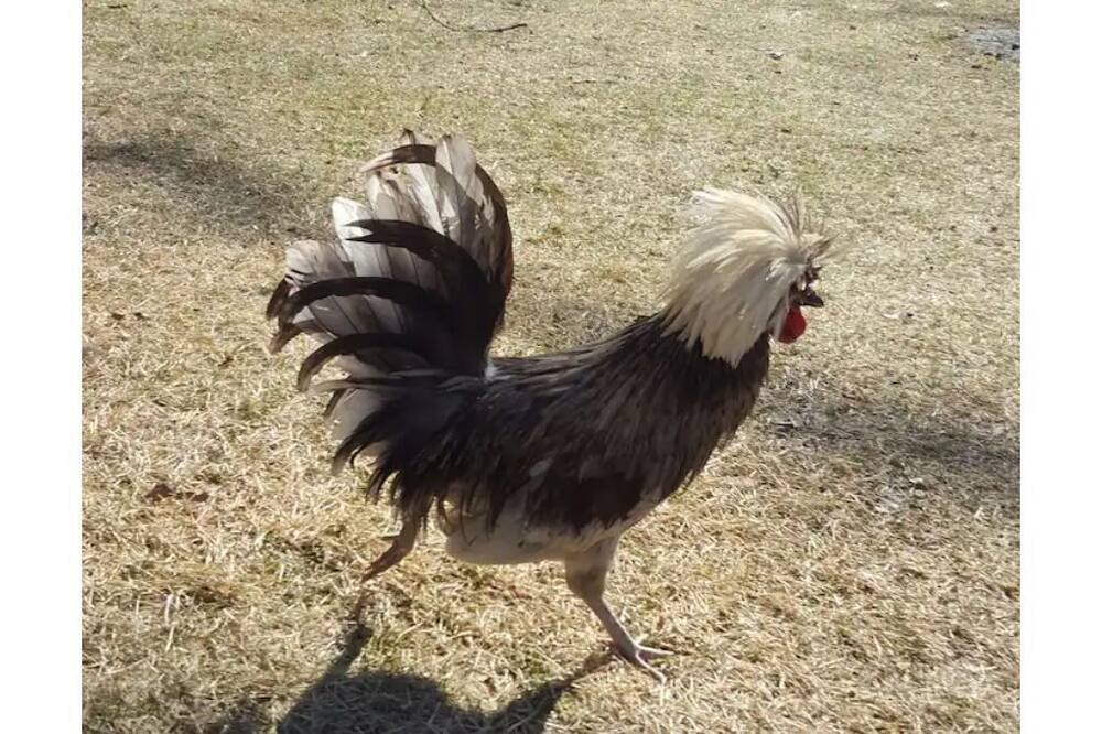 Photo of Outdoor in Gordon Heights