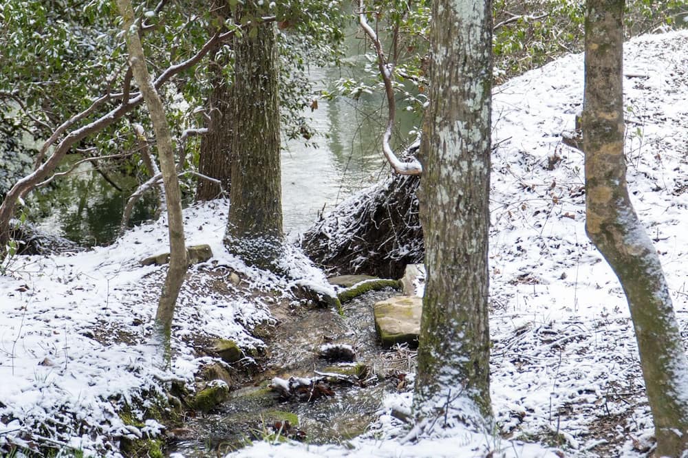 Photo of Outdoor in Mentone