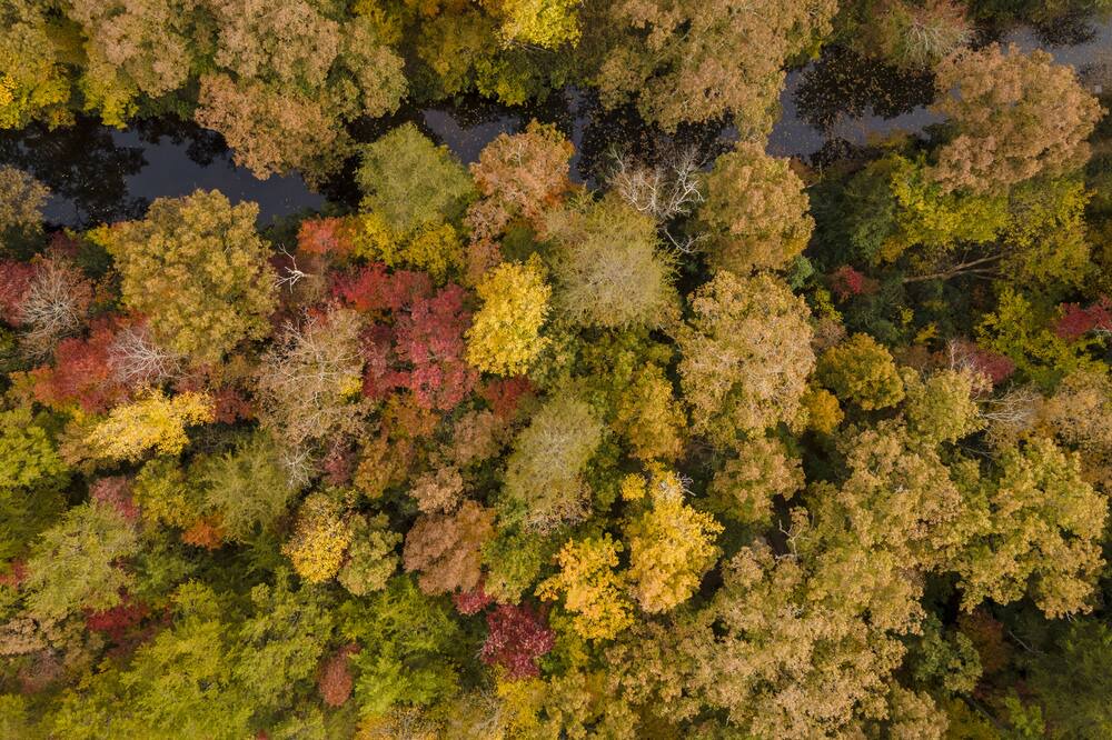 Photo of Outdoor in Mentone