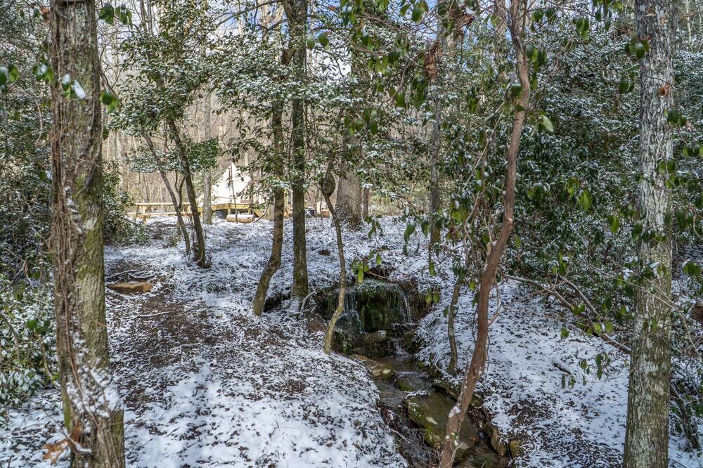 Photo of Outdoor in Mentone