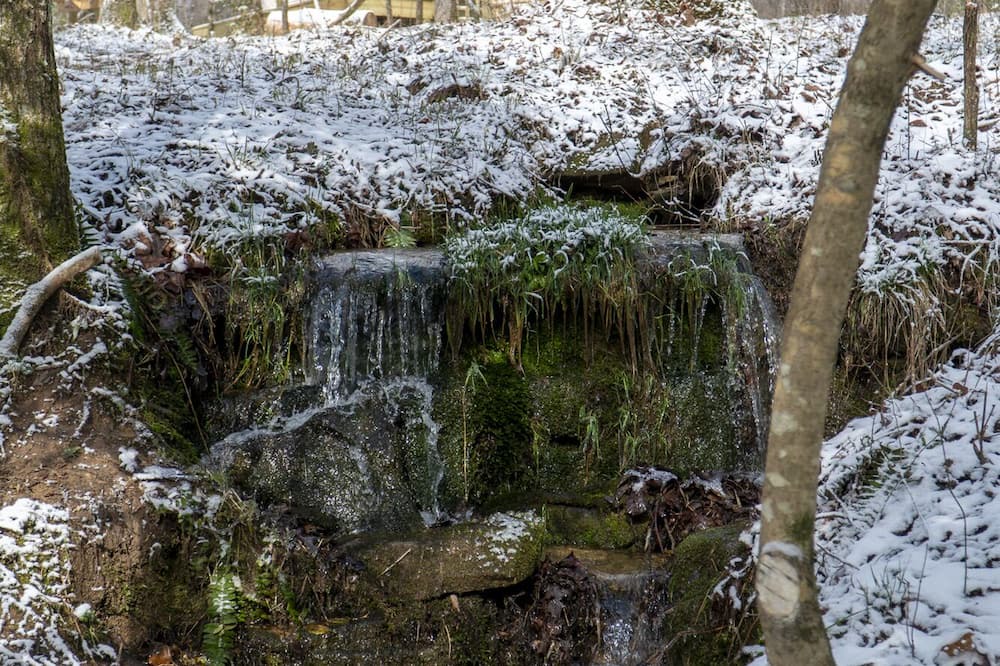 Photo of Outdoor in Mentone